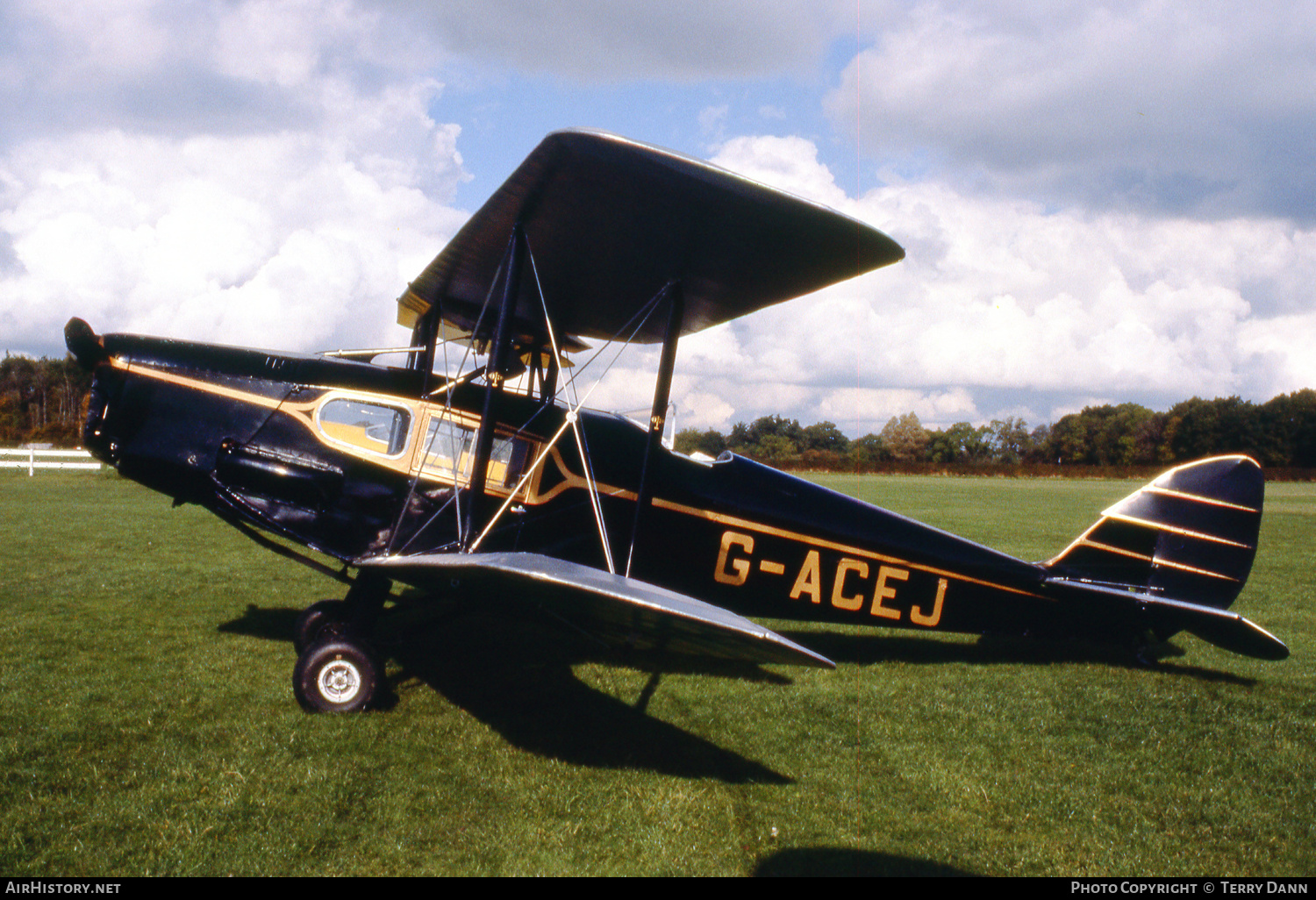 Aircraft Photo of G-ACEJ | De Havilland D.H. 83 Fox Moth | AirHistory.net #331877