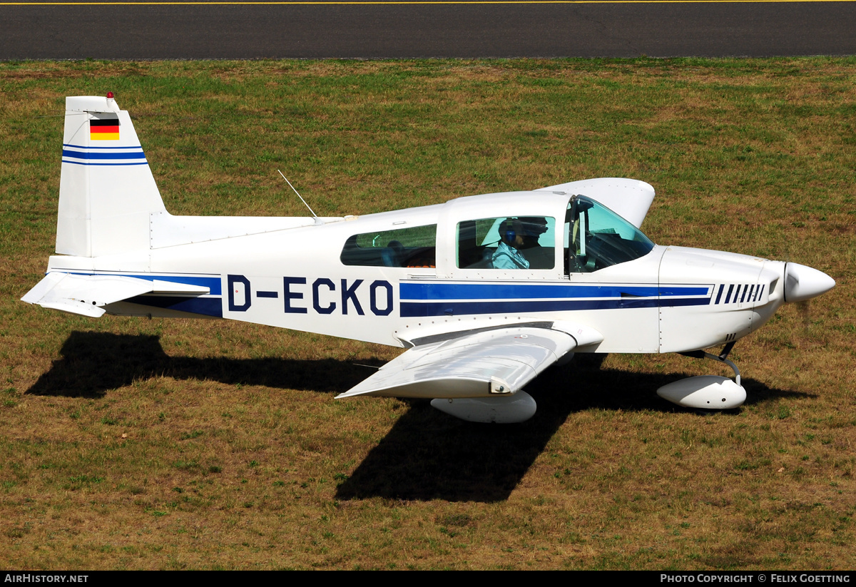 Aircraft Photo of D-ECKO | American AA-5 Traveler | AirHistory.net #332299
