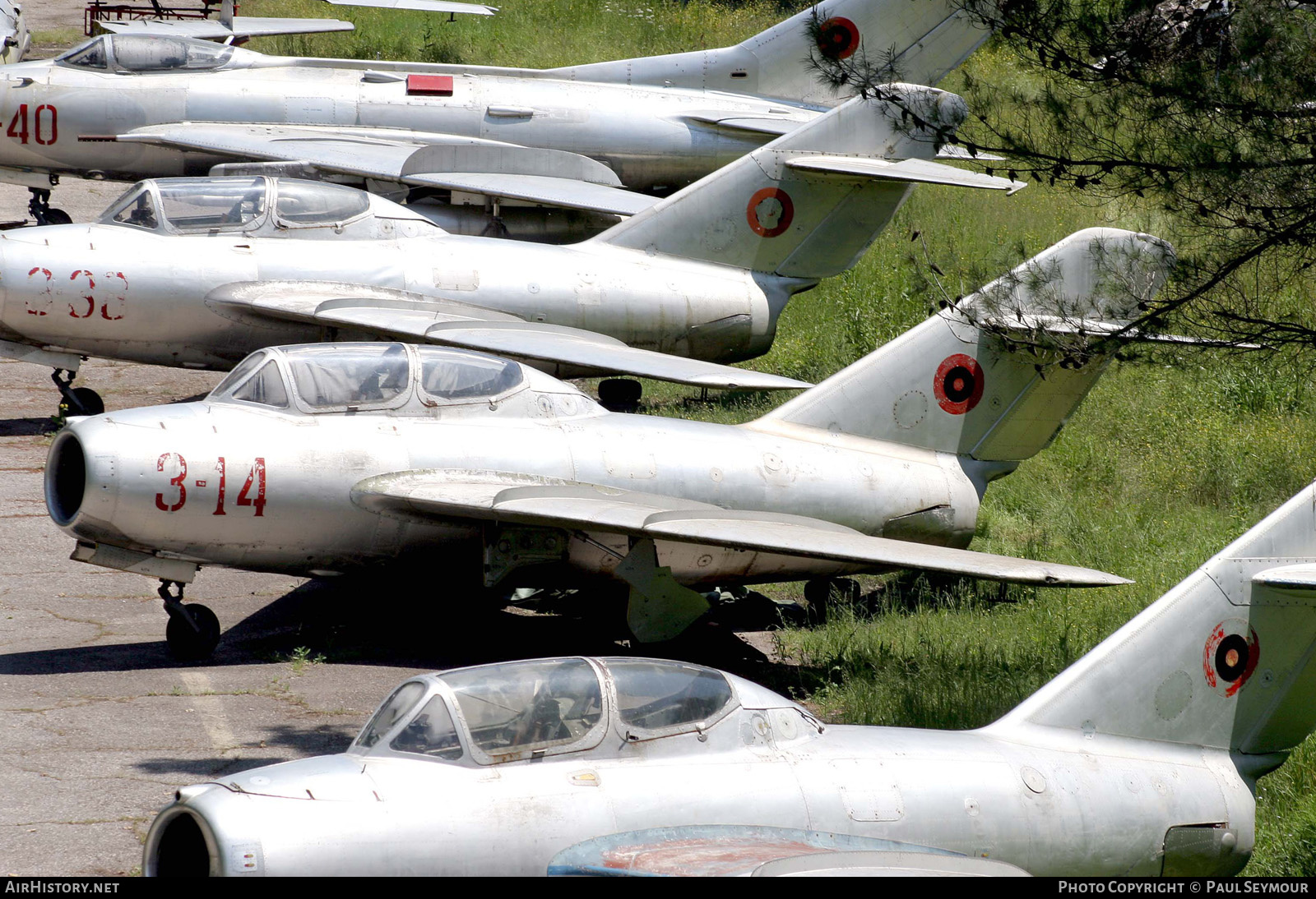 Aircraft Photo of 3-14 | Mikoyan-Gurevich MiG-15UTI | Albania - Air Force | AirHistory.net #333346