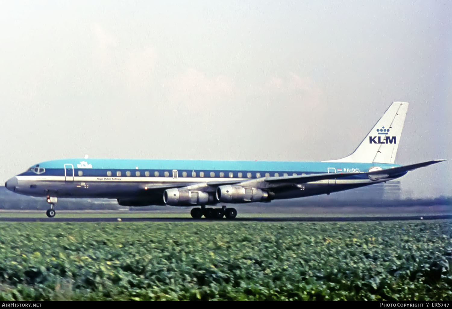 Aircraft Photo of PH-DCI | Douglas DC-8-53 | KLM - Royal Dutch Airlines | AirHistory.net #335565