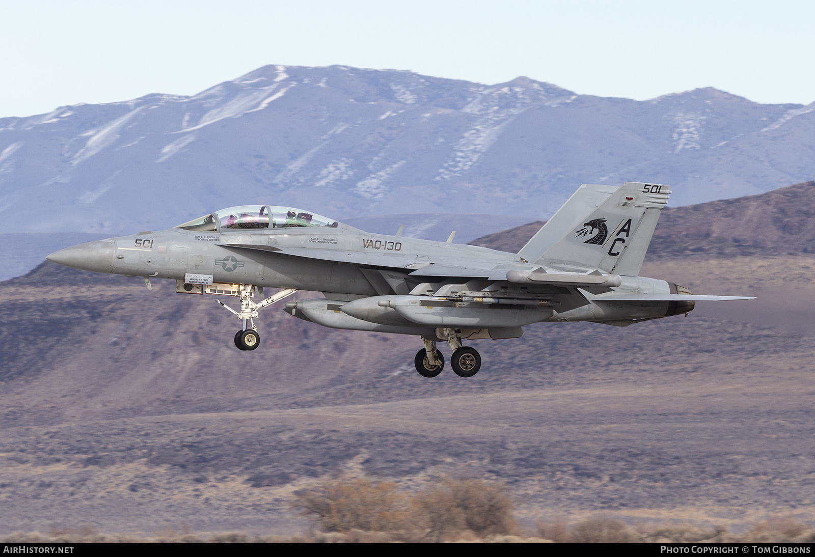 Aircraft Photo of 168251 | Boeing EA-18G Growler | USA - Navy | AirHistory.net #337386