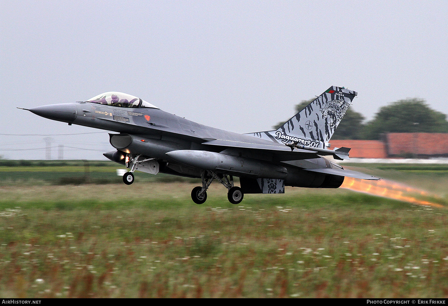 Aircraft Photo of 15106 | Lockheed F-16AM Fighting Falcon | Portugal - Air Force | AirHistory.net #343800
