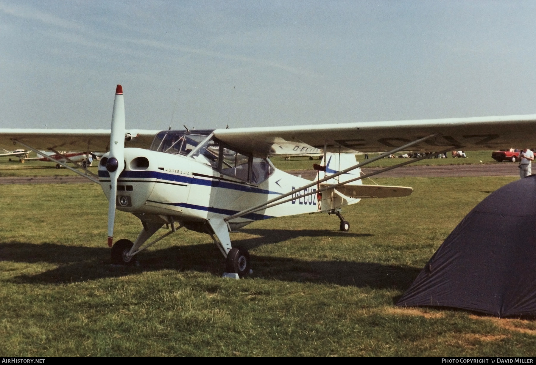 Aircraft Photo of D-ECUZ | Auster 5 | AirHistory.net #345115