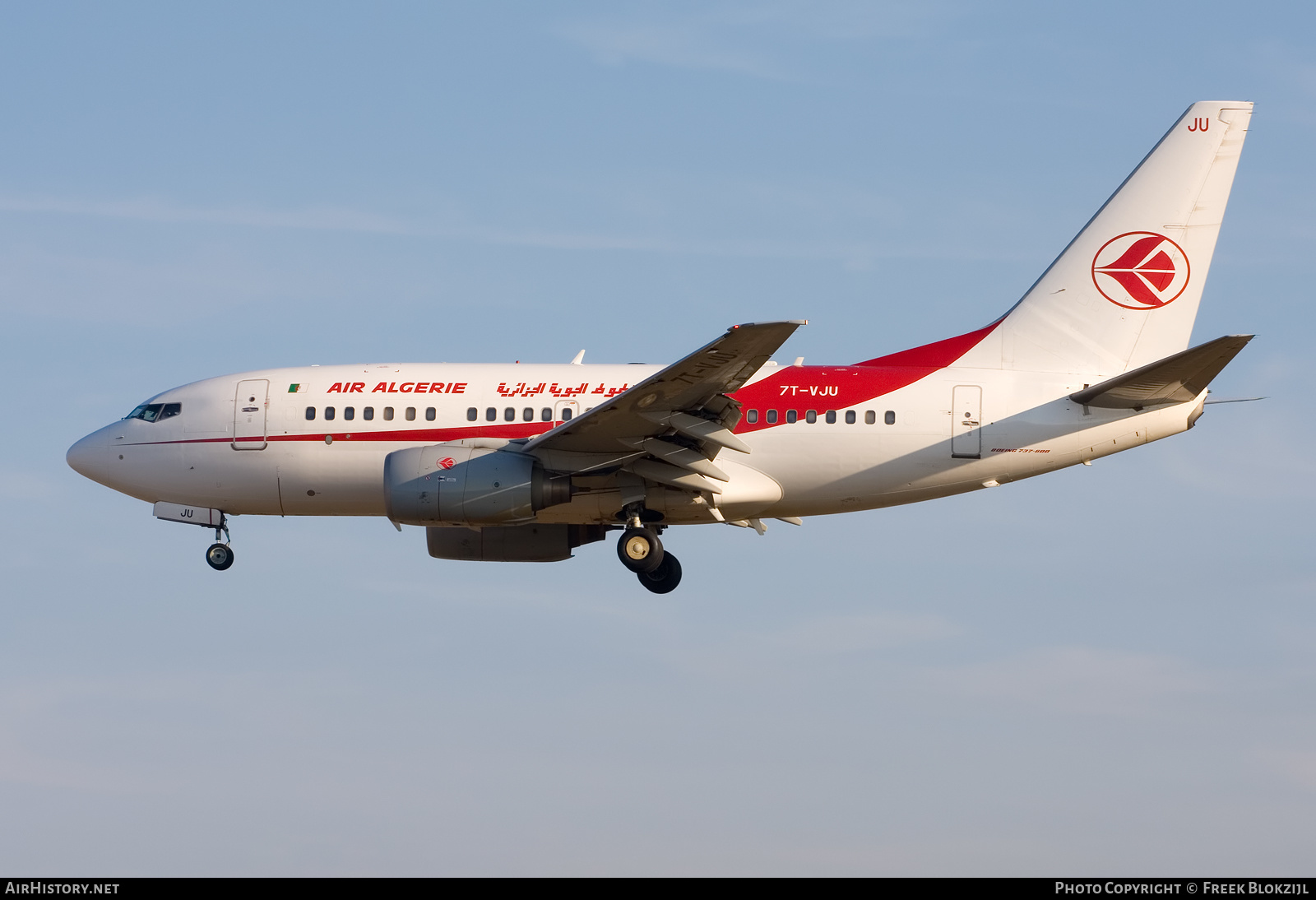 Aircraft Photo of 7T-VJU | Boeing 737-6D6 | Air Algérie | AirHistory.net #345751