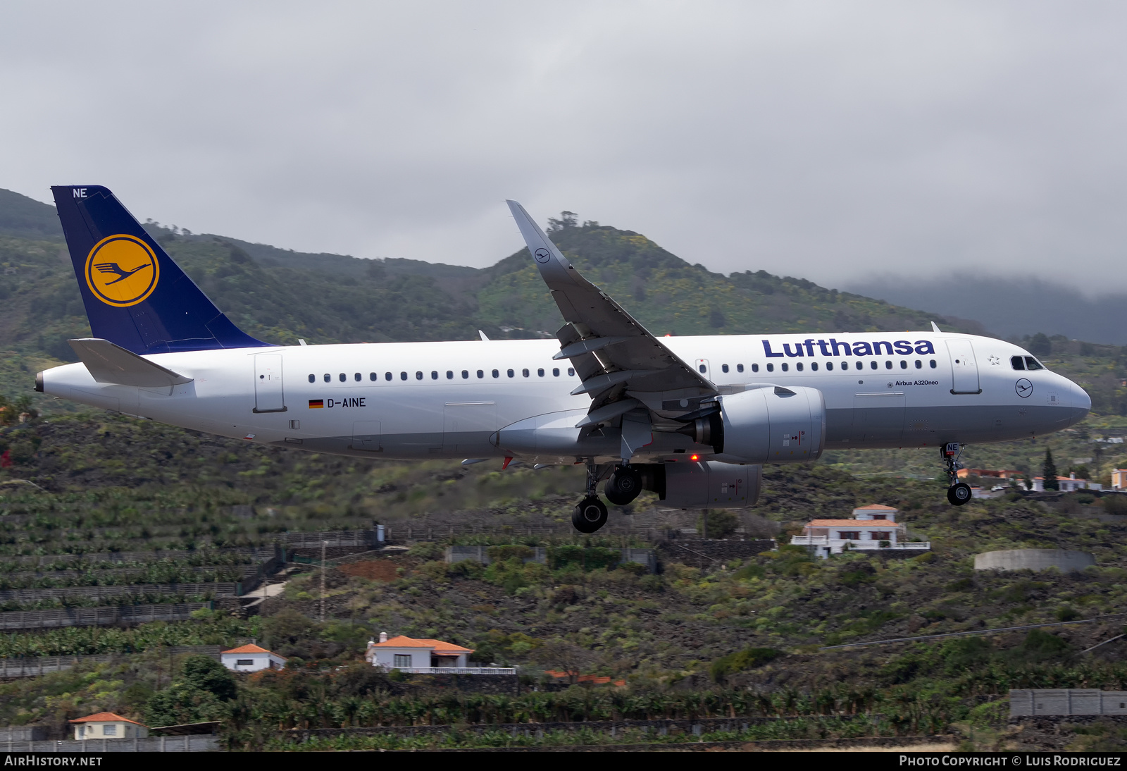 Aircraft Photo of D-AINE | Airbus A320-271N | Lufthansa | AirHistory.net #346942