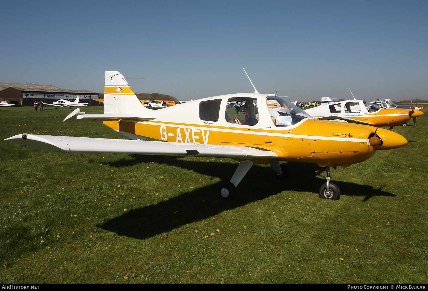 Aircraft Photo of G-AXEV | Beagle B.121 Srs.2 Pup-150 | AirHistory.net #347525