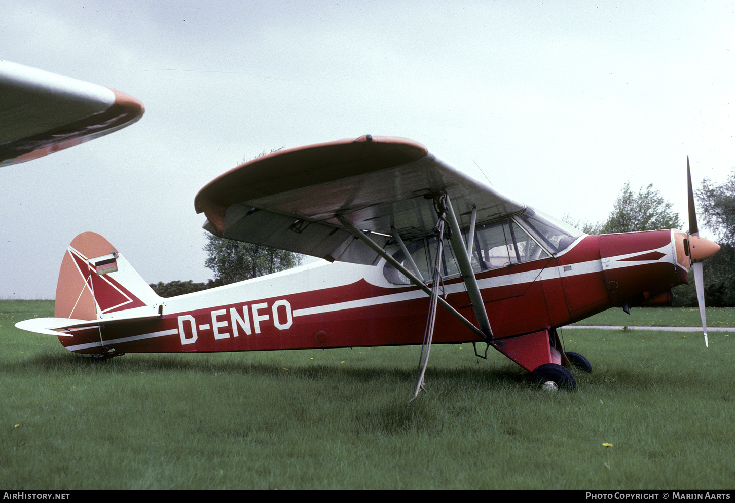 Aircraft Photo of D-ENFO | Piper PA-18-150 Super Cub | AirHistory.net #348191