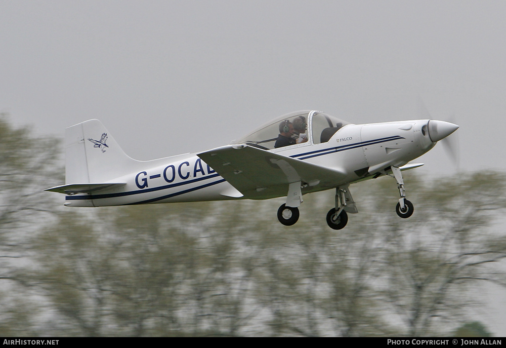 Aircraft Photo of G-OCAD | Sequoia F.8L Falco | AirHistory.net #348714