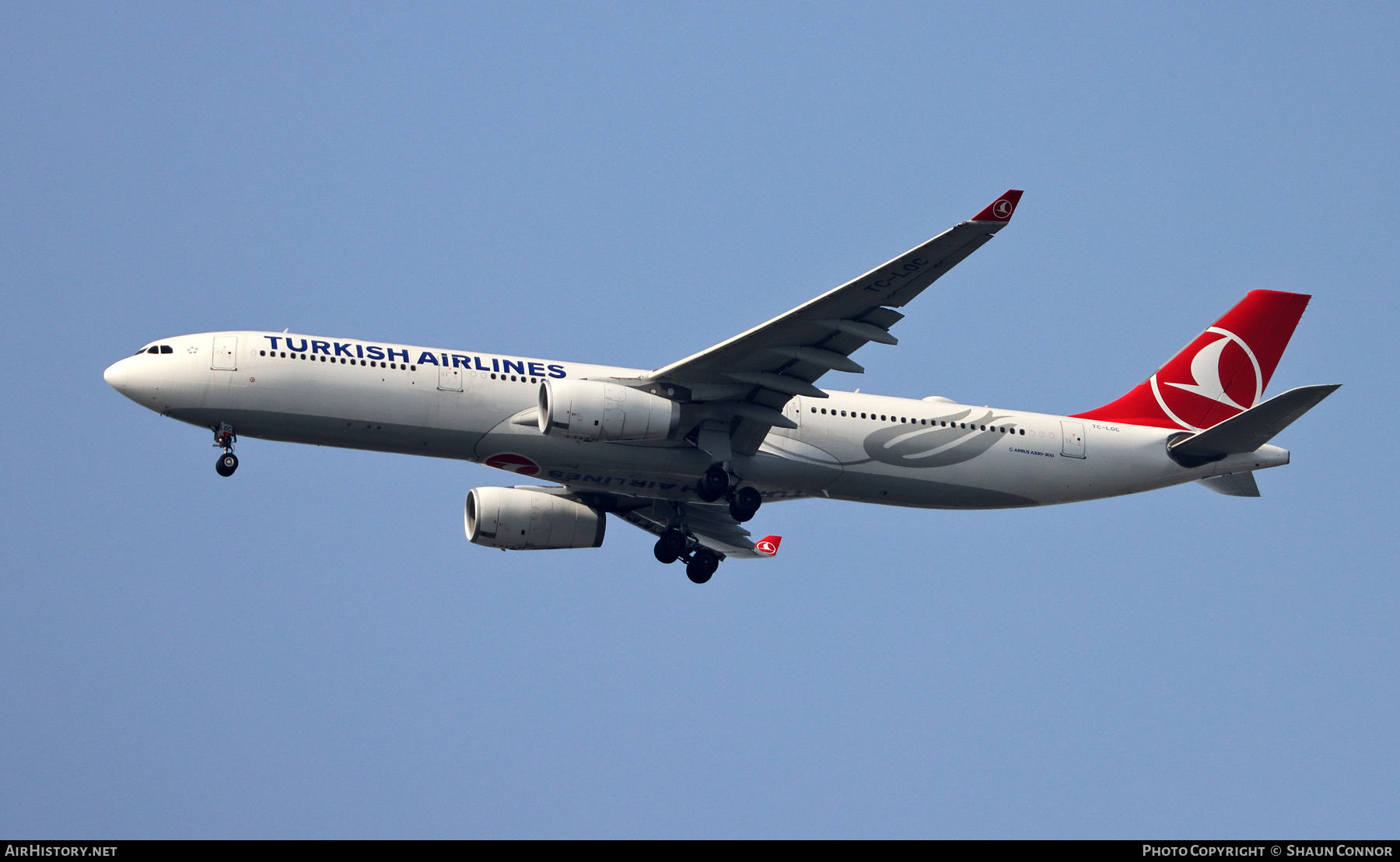 Aircraft Photo of TC-LOC | Airbus A330-343 | Turkish Airlines | AirHistory.net #349087