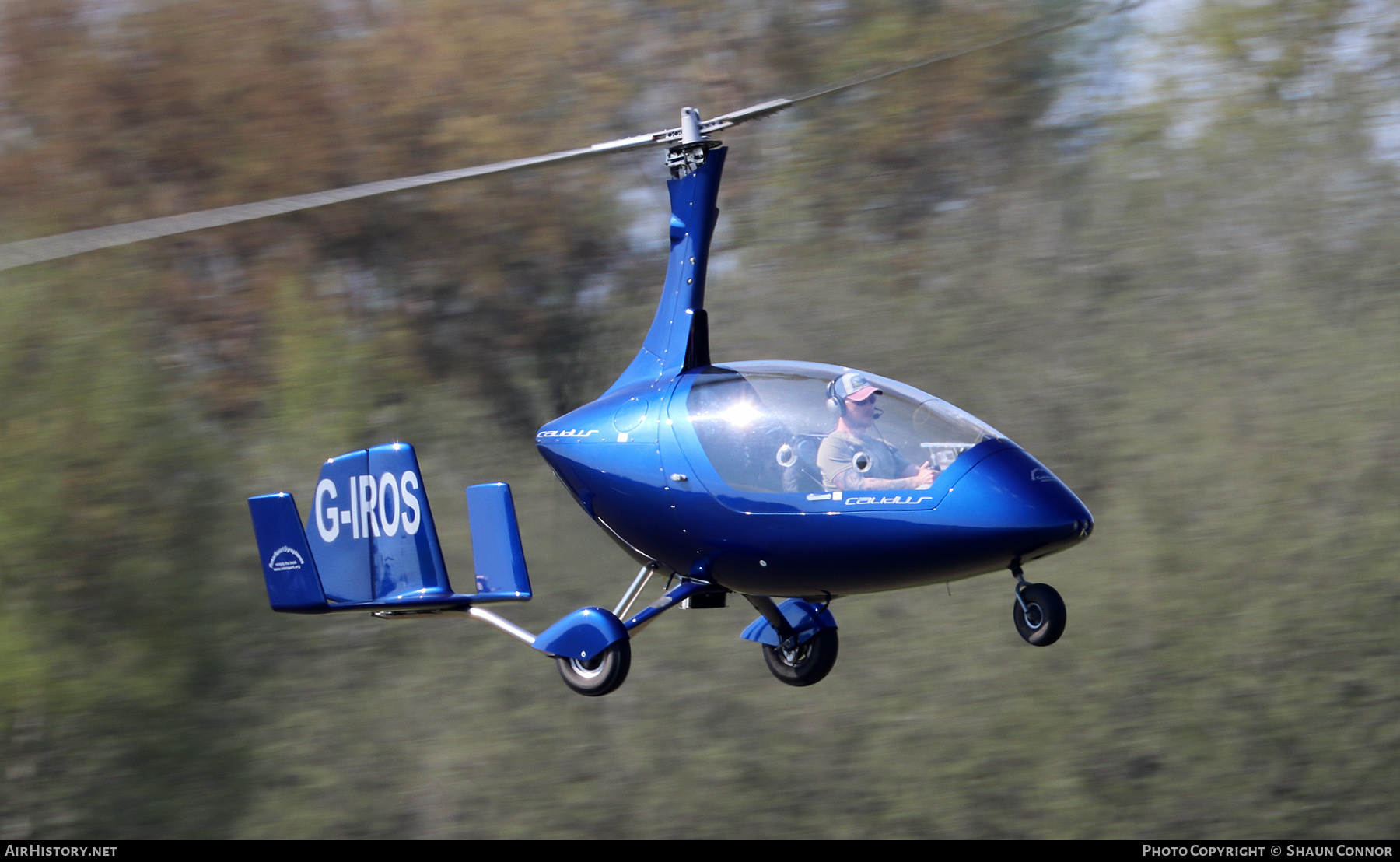Aircraft Photo of G-IROS | RotorSport UK Calidus | AirHistory.net #356408