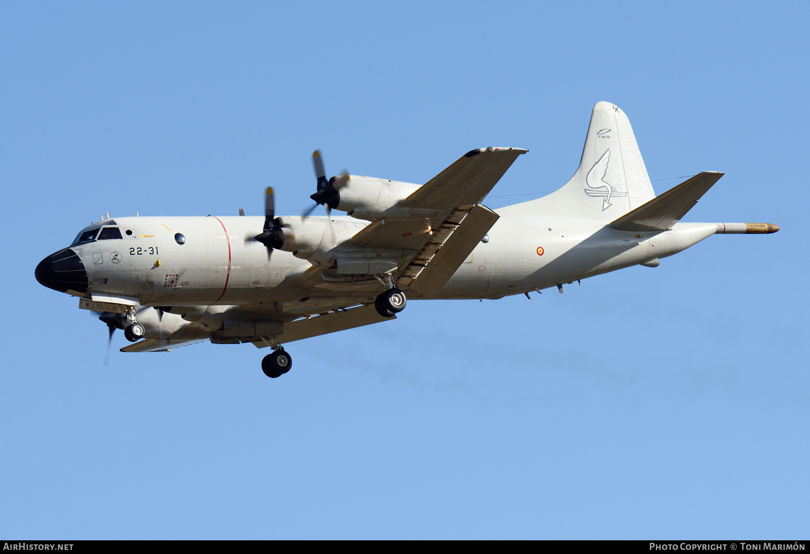 Aircraft Photo of P.3M-08 | Lockheed P-3M Orion | Spain - Air Force | AirHistory.net #359247