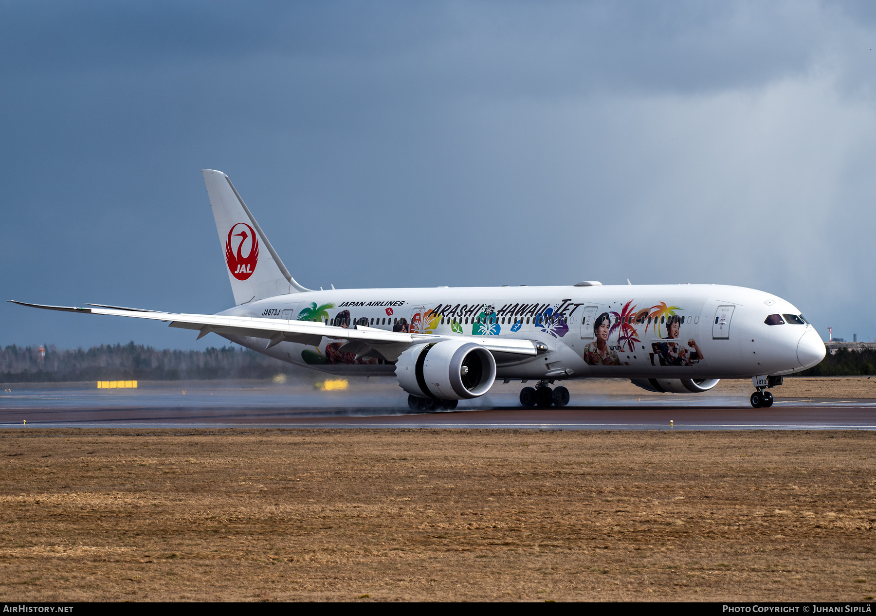 Aircraft Photo of JA873J | Boeing 787-9 Dreamliner | Japan Airlines - JAL | AirHistory.net #359600