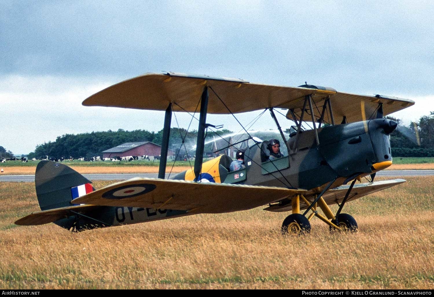 Aircraft Photo of OY-ECH | De Havilland D.H. 82A Tiger Moth II | UK - Air Force | AirHistory.net #364672
