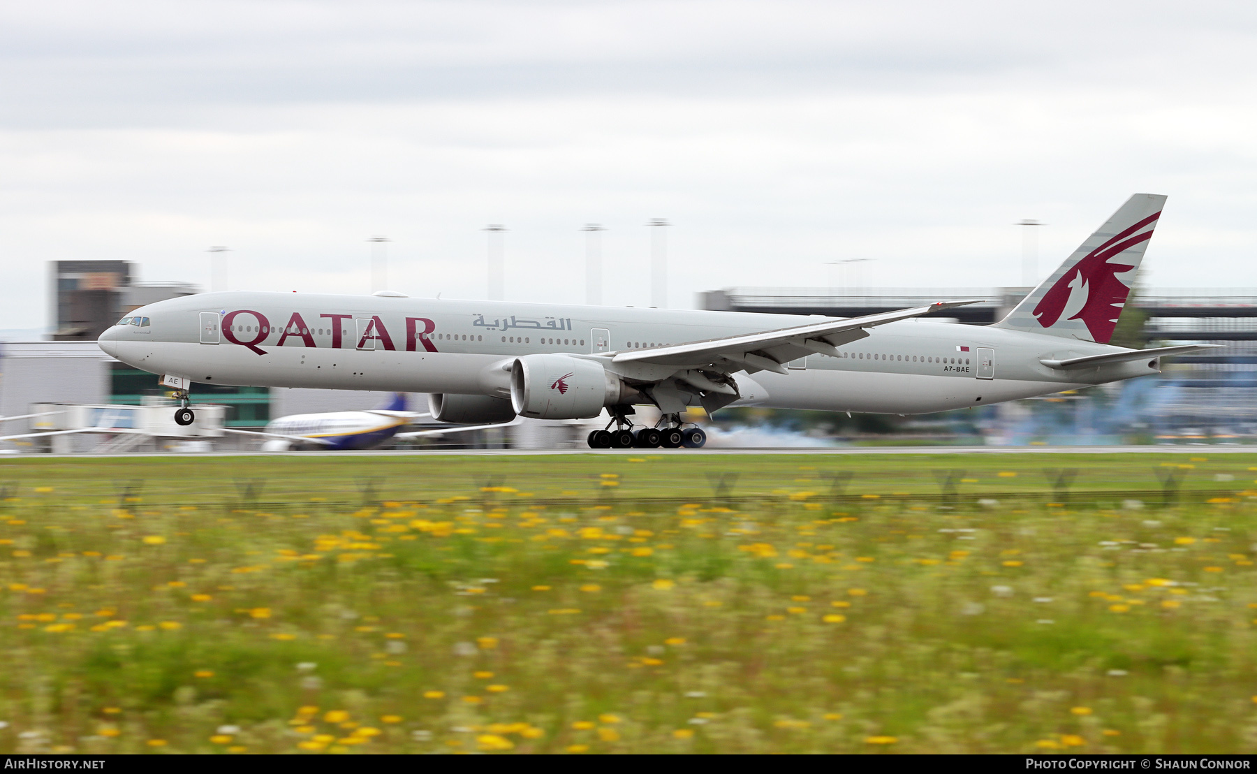 Aircraft Photo of A7-BAE | Boeing 777-3DZ/ER | Qatar Airways | AirHistory.net #364829
