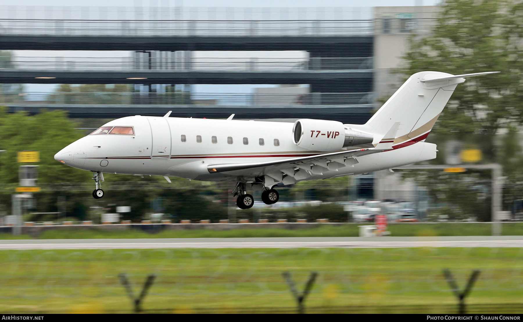 Aircraft Photo of T7-VIP | Bombardier Challenger 604 (CL-600-2B16) | AirHistory.net #364835