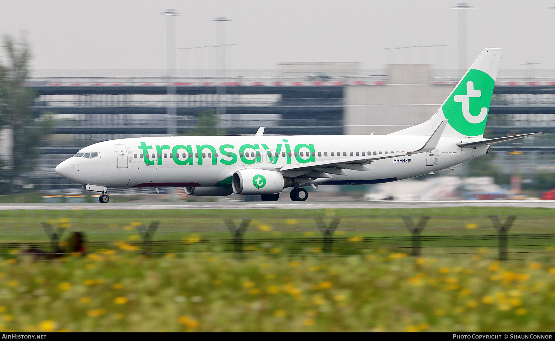 Aircraft Photo of PH-HZW | Boeing 737-8K2 | Transavia | AirHistory.net #365279