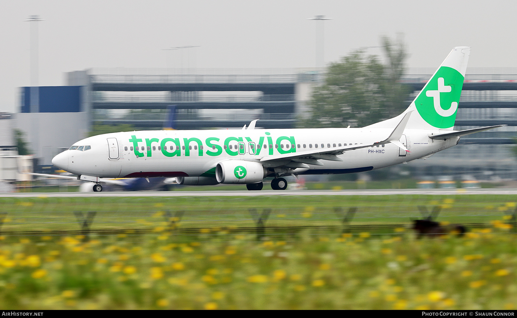 Aircraft Photo of PH-HXC | Boeing 737-8K2 | Transavia | AirHistory.net #365294