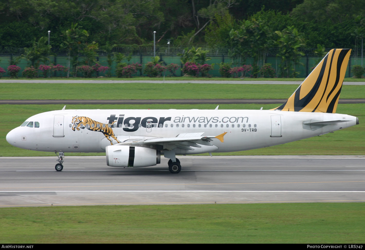 Aircraft Photo of 9V-TRB | Airbus A319-132 | Tiger Airways | AirHistory.net #367916