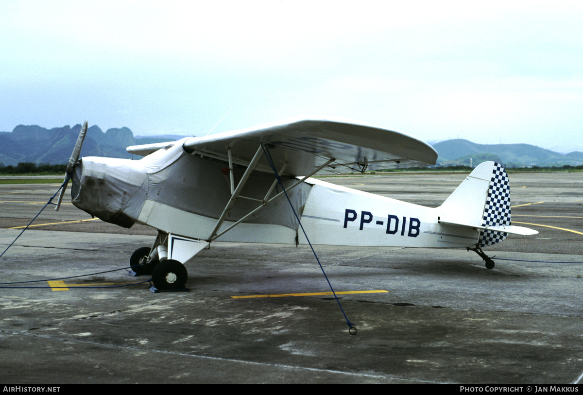Aircraft Photo of PP-DIB | Piper J-3C-65 Cub | AirHistory.net #368622