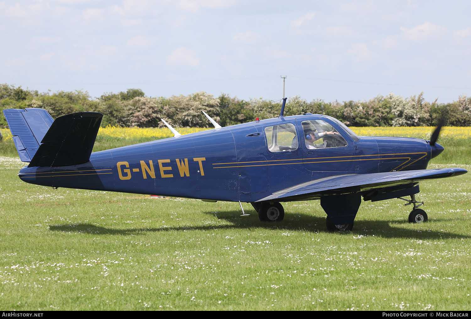 Aircraft Photo of G-NEWT | Beech 35 Bonanza | AirHistory.net #368720