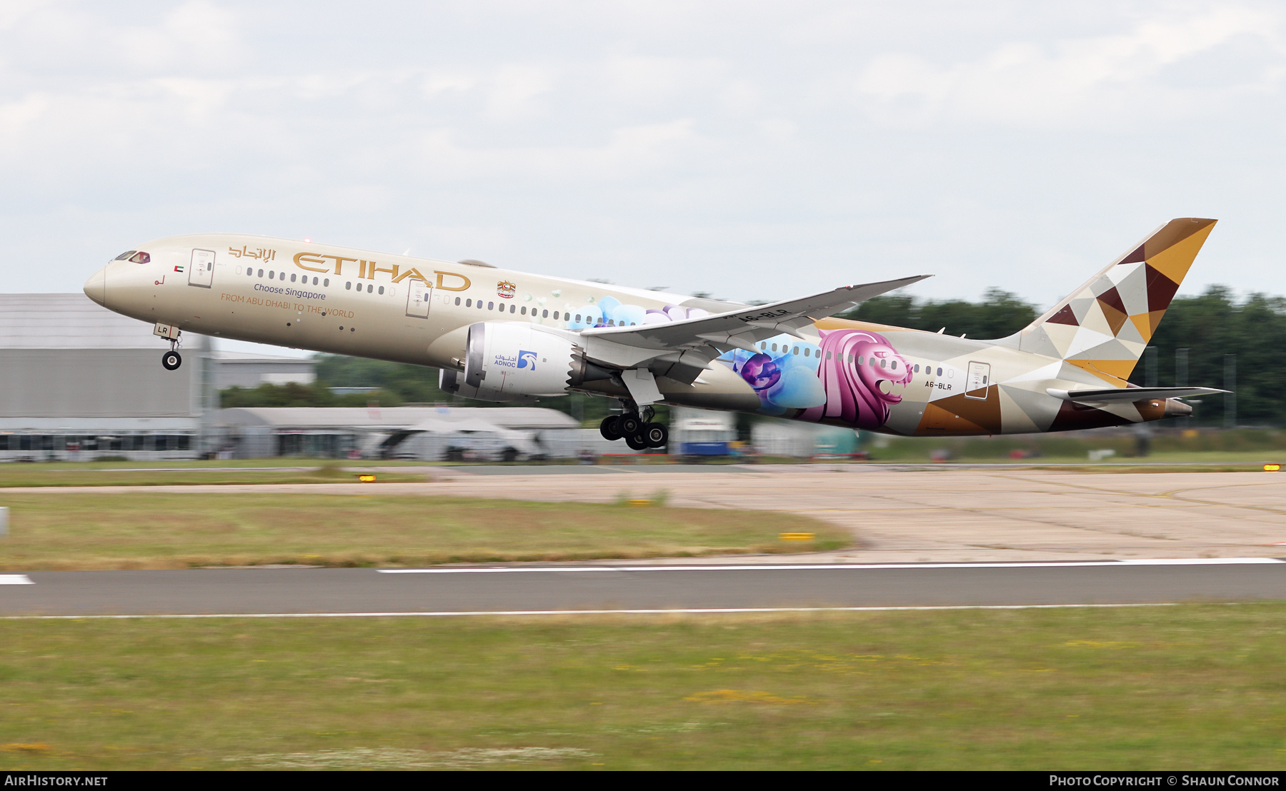 Aircraft Photo of A6-BLR | Boeing 787-9 Dreamliner | Etihad Airways | AirHistory.net #369431