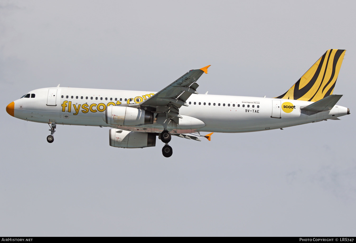 Aircraft Photo of 9V-TAE | Airbus A320-232 | Scoot | AirHistory.net #370012