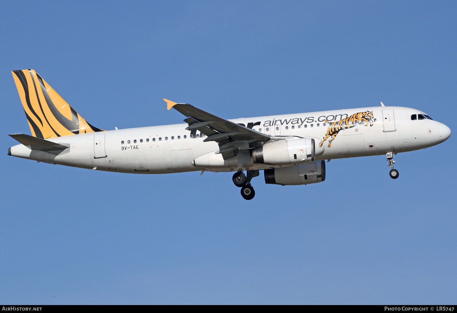 Aircraft Photo of 9V-TAE | Airbus A320-232 | Tiger Airways | AirHistory.net #370014
