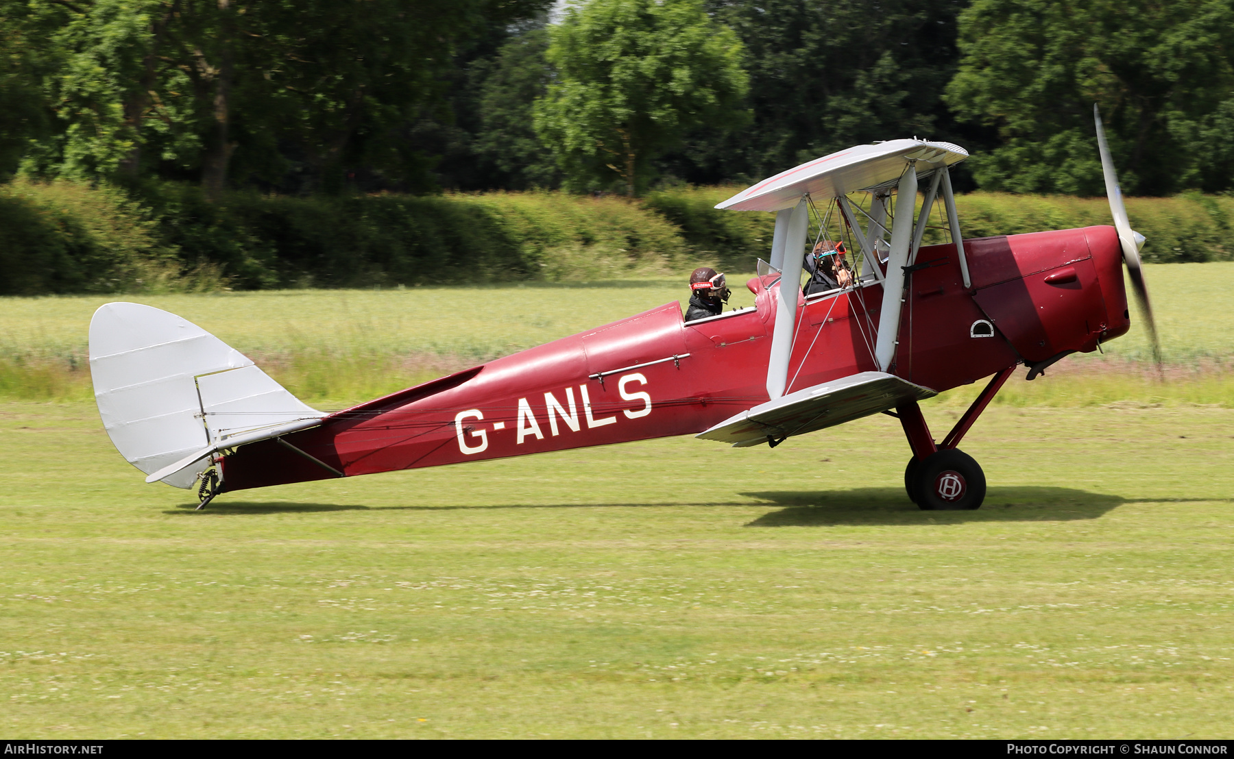 Aircraft Photo of G-ANLS | De Havilland D.H. 82A Tiger Moth II | AirHistory.net #371927