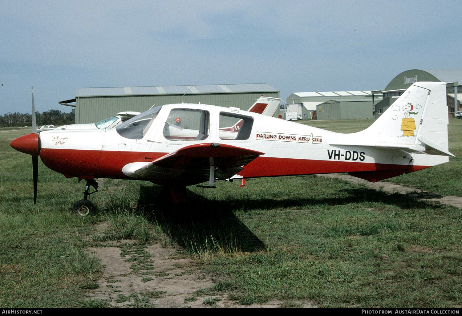 Aircraft Photo of VH-DDS | Beagle B.121 Srs.2 Pup-150 | Darling Downs Aero Club | AirHistory.net #372310