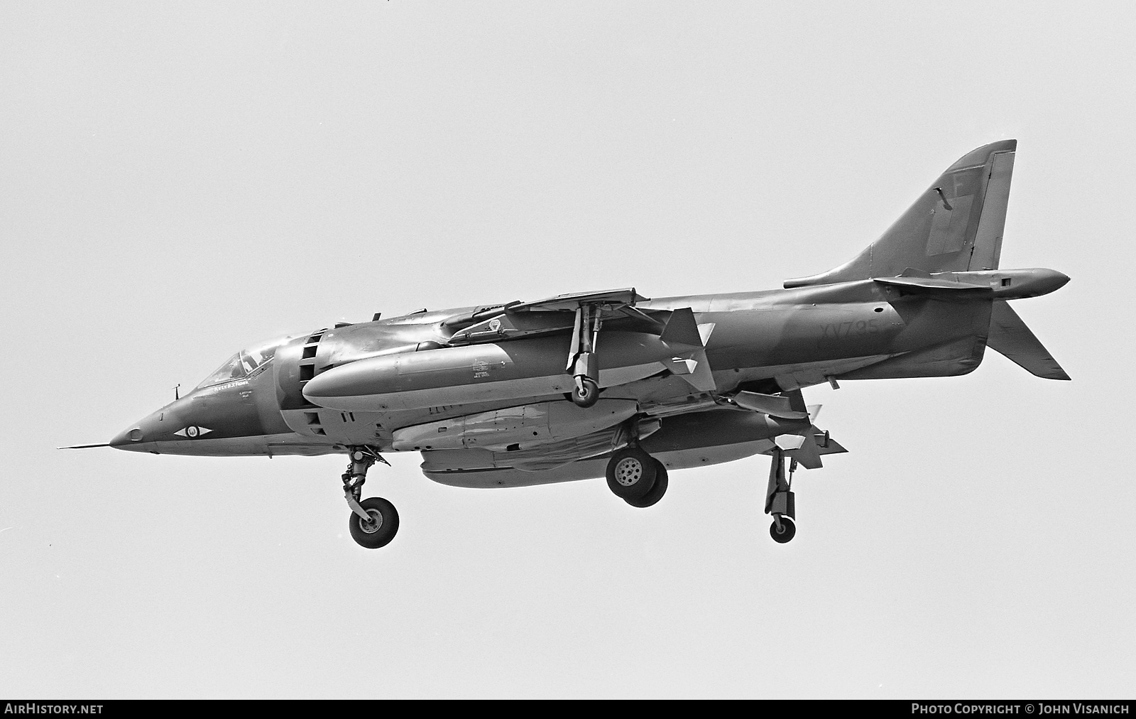Aircraft Photo of XV795 | Hawker Siddeley Harrier GR1 | UK - Air Force | AirHistory.net #373134