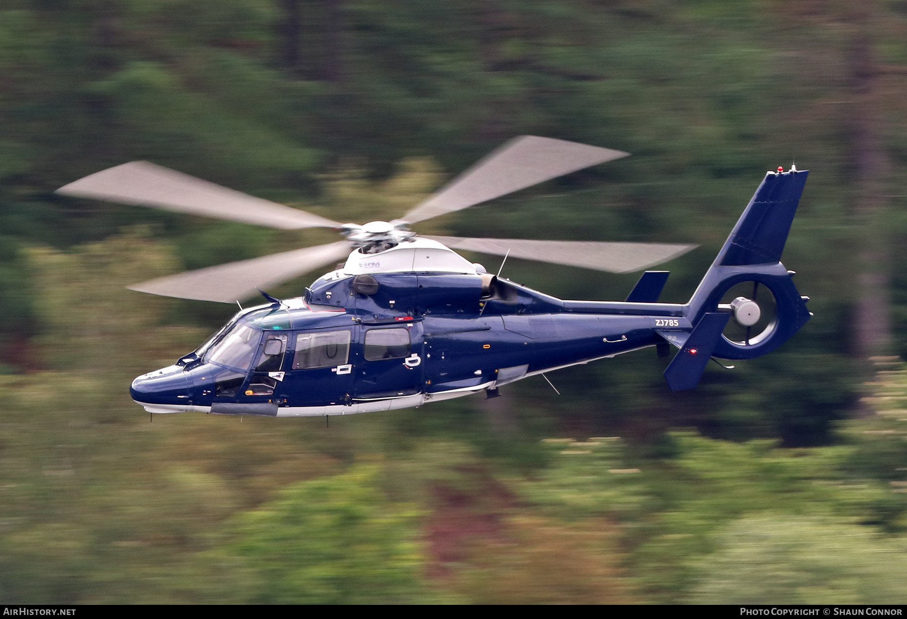 Aircraft Photo of ZJ785 | Airbus Helicopters AS365N3 Dauphin AH1 | UK - Army | AirHistory.net #373728