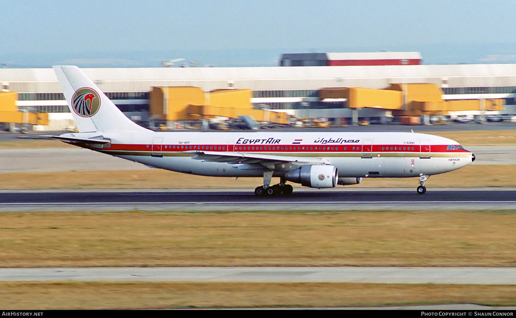 Aircraft Photo of SU-BDF | Airbus A300B4-203 | EgyptAir | AirHistory.net #373769