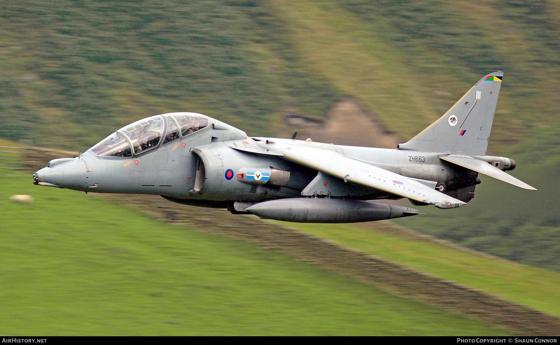 Aircraft Photo of ZH663 | British Aerospace Harrier T12 | UK - Air Force | AirHistory.net #374095