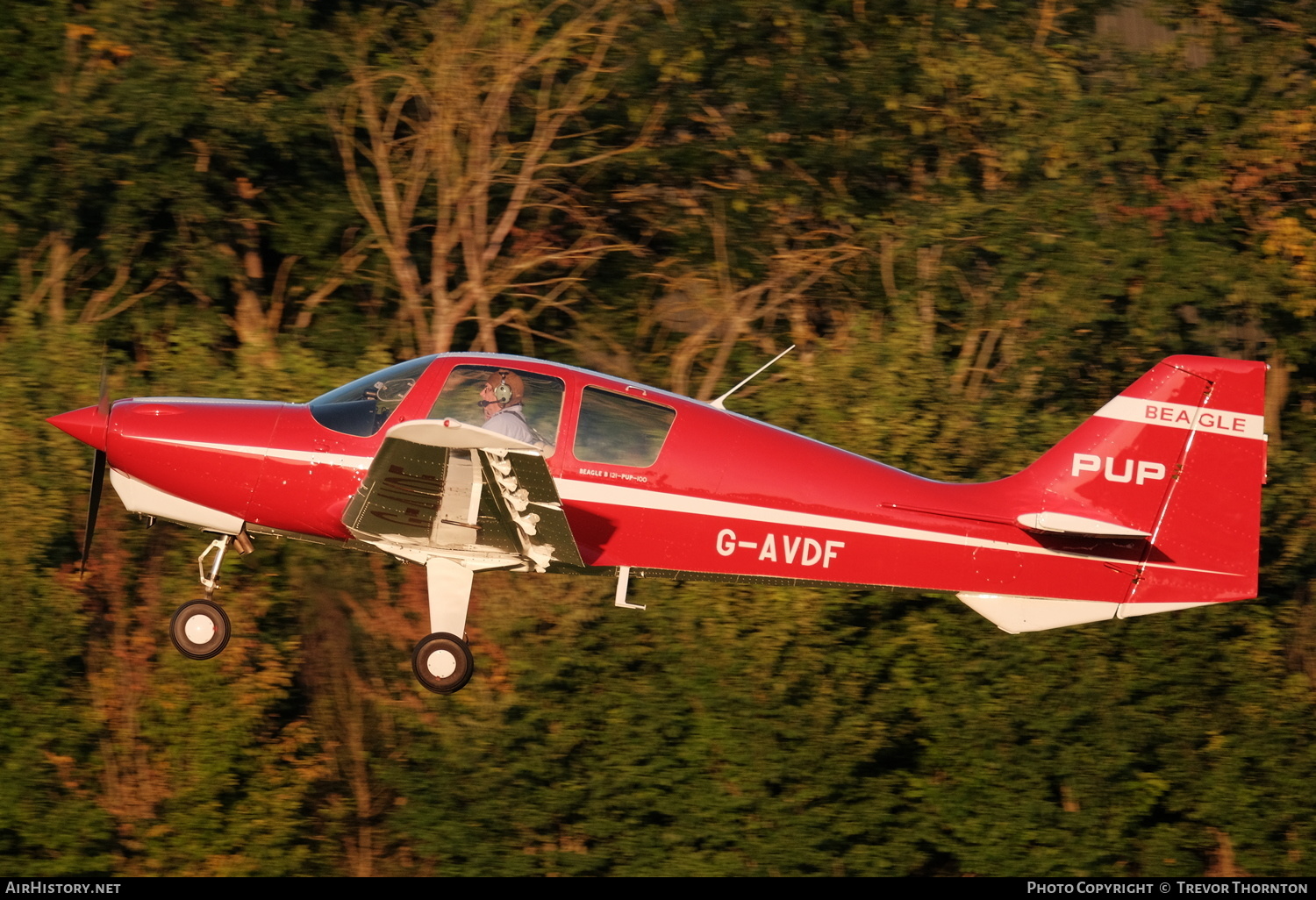 Aircraft Photo of G-AVDF | Beagle B.121 Srs.1 Pup-100 | AirHistory.net #376798