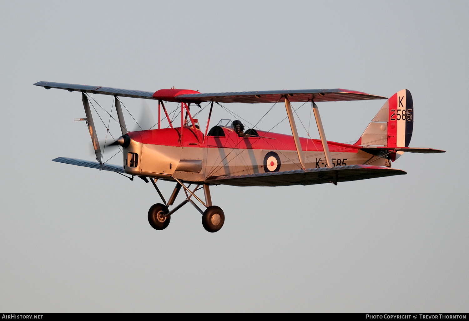 Aircraft Photo of G-ANKT / K2585 | De Havilland D.H. 82A Tiger Moth | UK - Air Force | AirHistory.net #378955