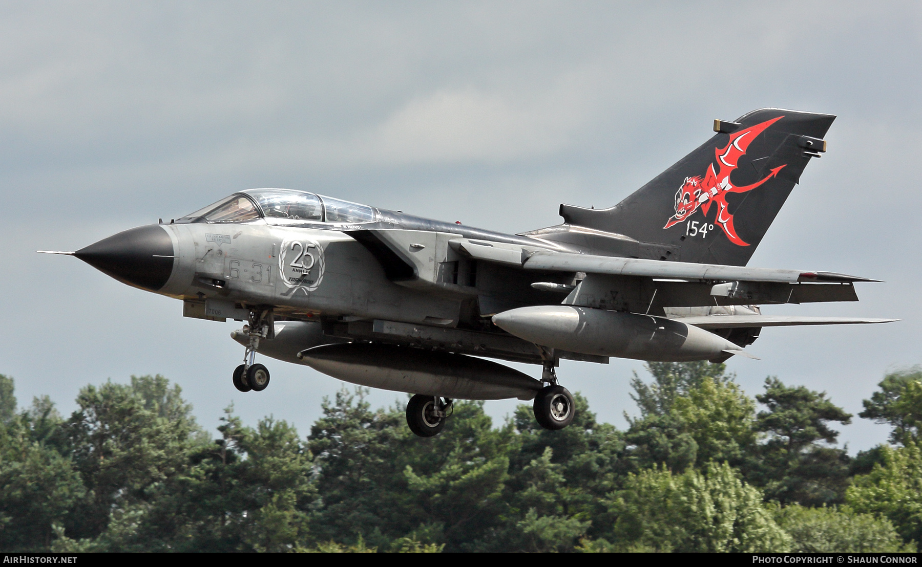 Aircraft Photo of MM7006 | Panavia Tornado IDS | Italy - Air Force | AirHistory.net #381096