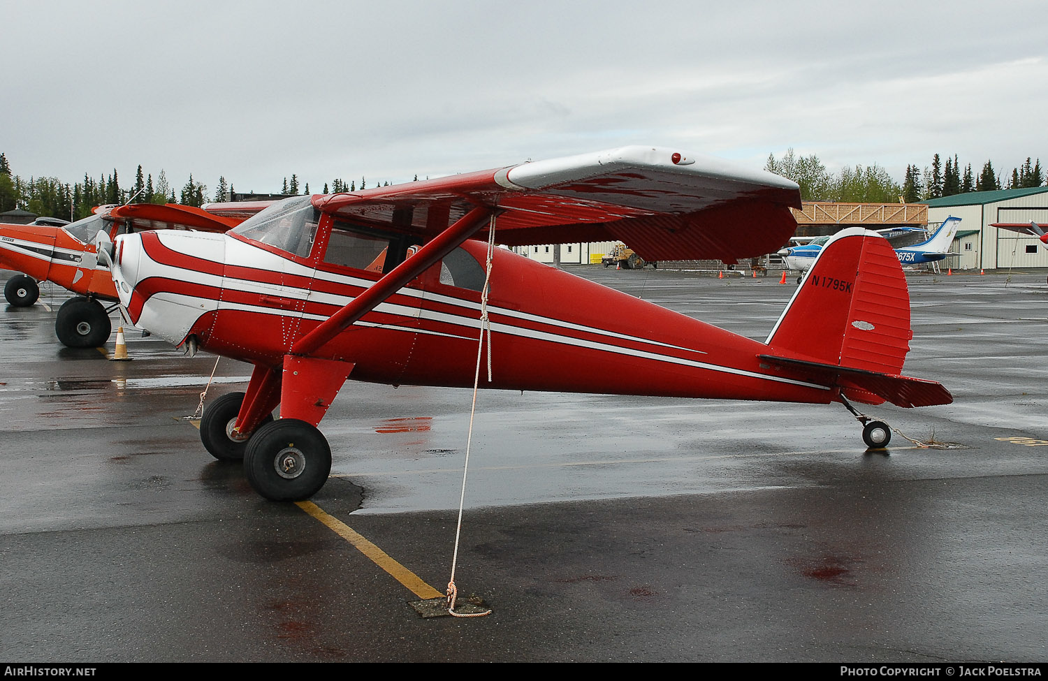 Aircraft Photo of N1795K | Luscombe 8E Silvaire | AirHistory.net #382908