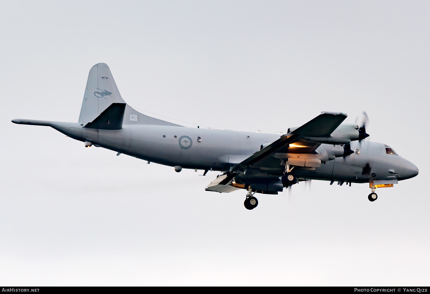 Aircraft Photo of A9-657 | Lockheed P-3C Orion | Australia - Air Force | AirHistory.net #383152