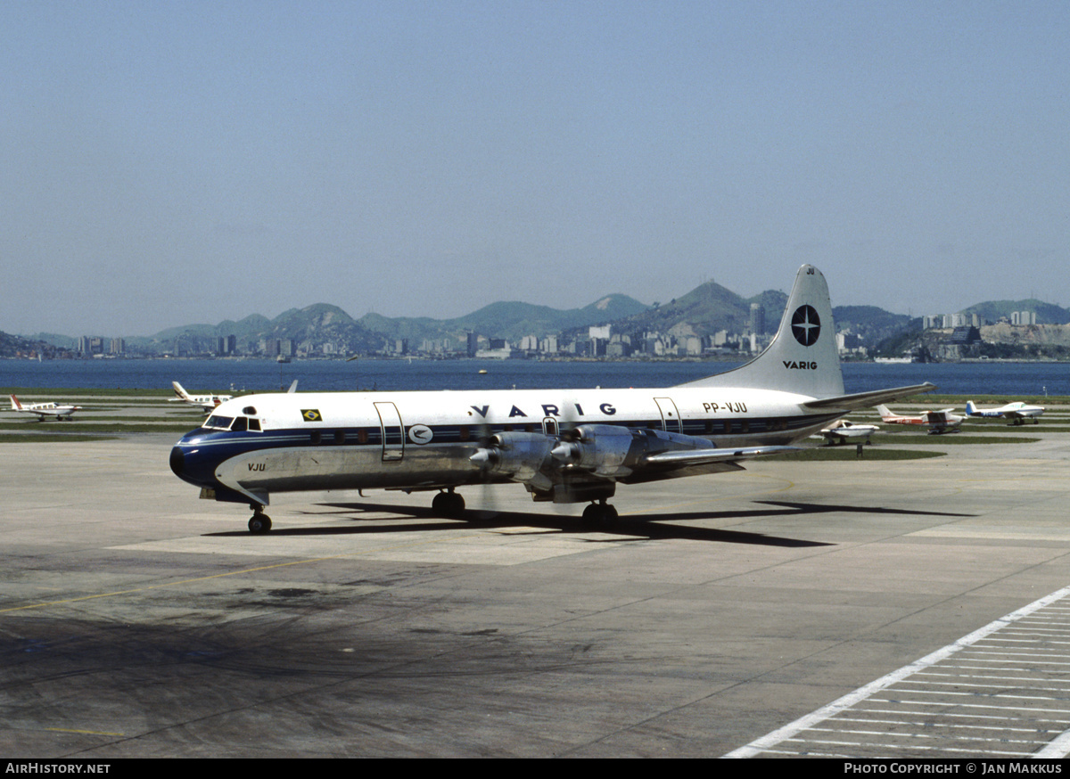 Aircraft Photo of PP-VJU | Lockheed L-188A Electra | Varig | AirHistory.net #383842