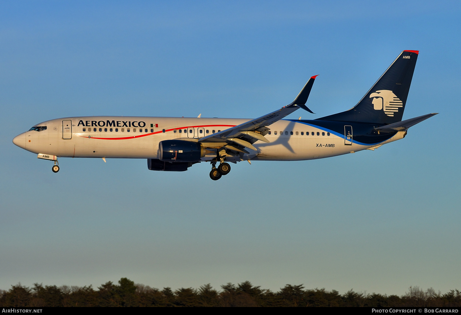 Aircraft Photo of XA-AMB | Boeing 737-852 | AeroMéxico | AirHistory.net #384265