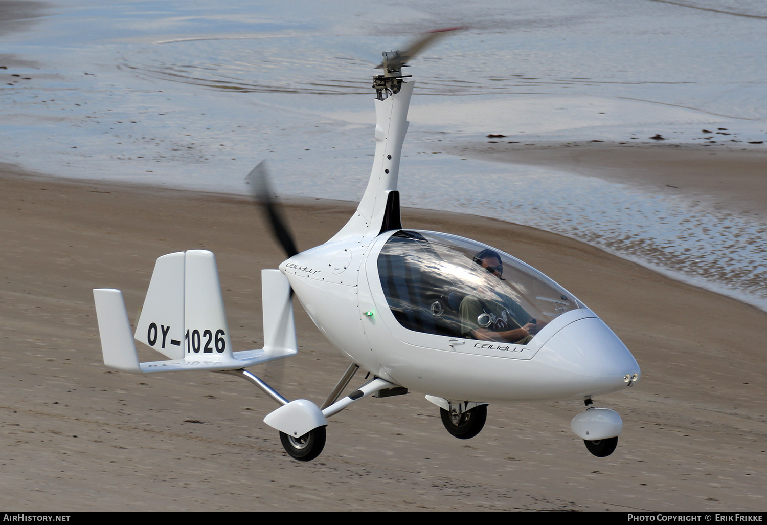 Aircraft Photo of OY-1026 | AutoGyro Europe Calidus | AirHistory.net #385778