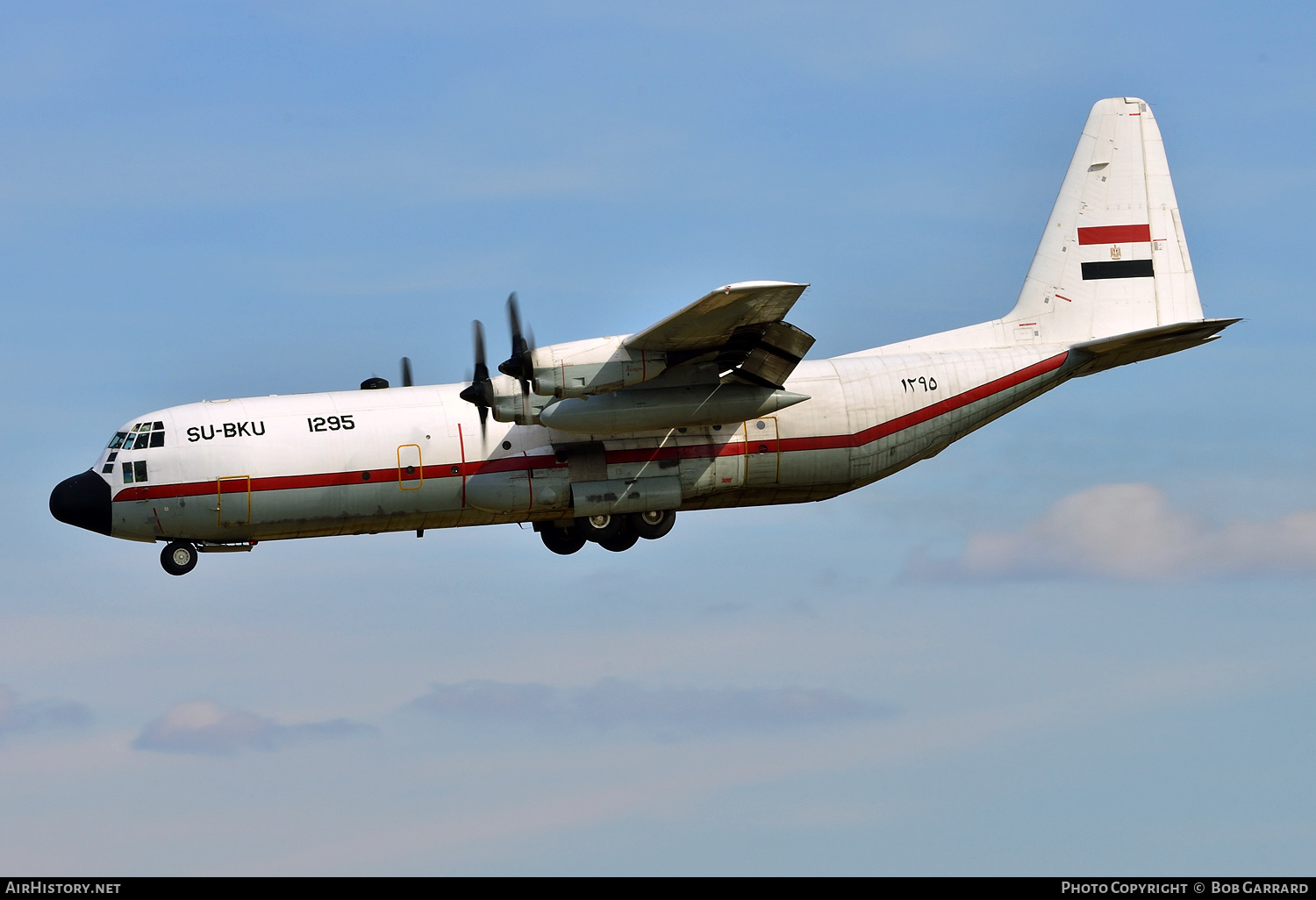 Aircraft Photo of 1295 / ۱۲۹٥ | Lockheed C-130H-30 Hercules (L-382) | Egypt - Air Force | AirHistory.net #385987