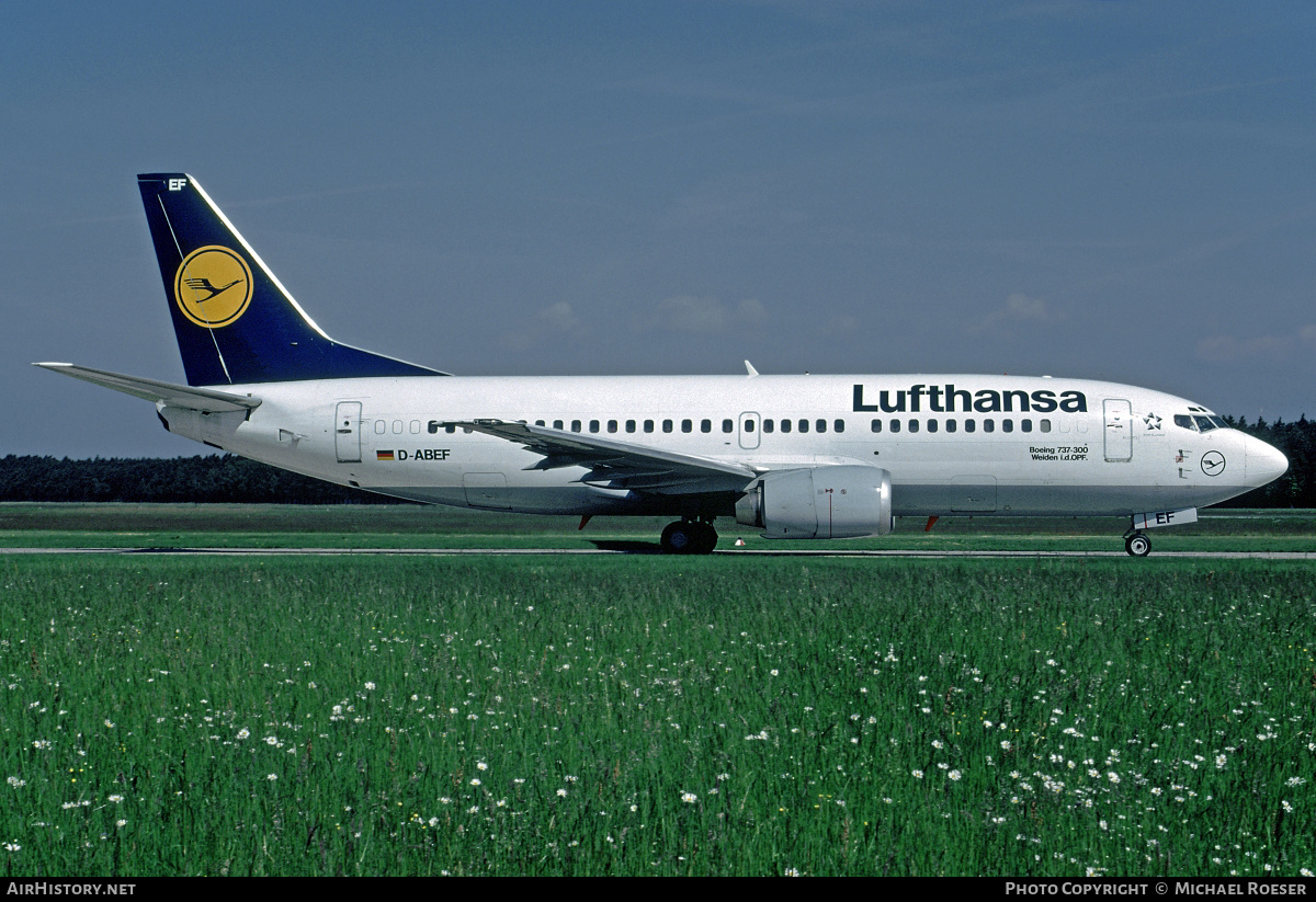 Aircraft Photo of D-ABEF | Boeing 737-330 | Lufthansa | AirHistory.net #386892