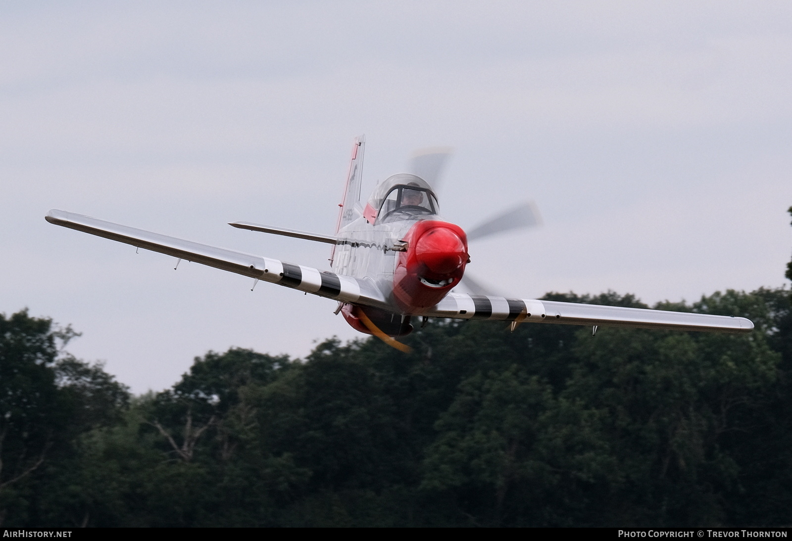 Aircraft Photo of G-FION / 441968 | Titan T-51 Mustang | USA - Air Force | AirHistory.net #387800