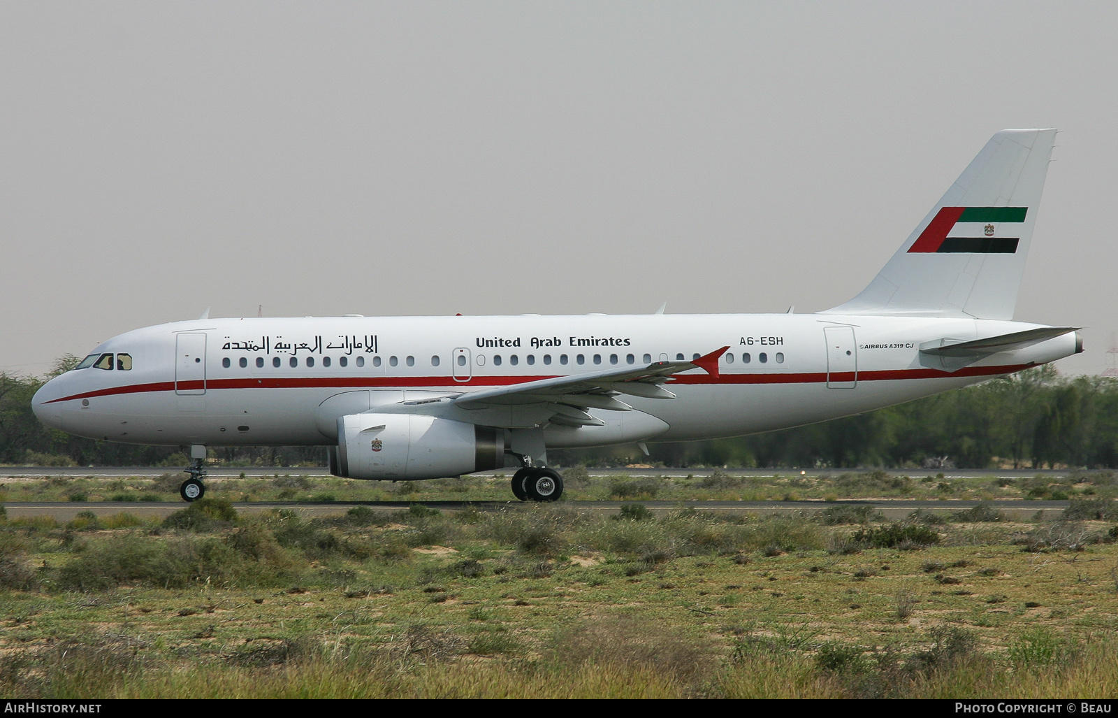 Aircraft Photo of A6-ESH | Airbus ACJ319 (A319-133/CJ) | United Arab Emirates Government | AirHistory.net #388144