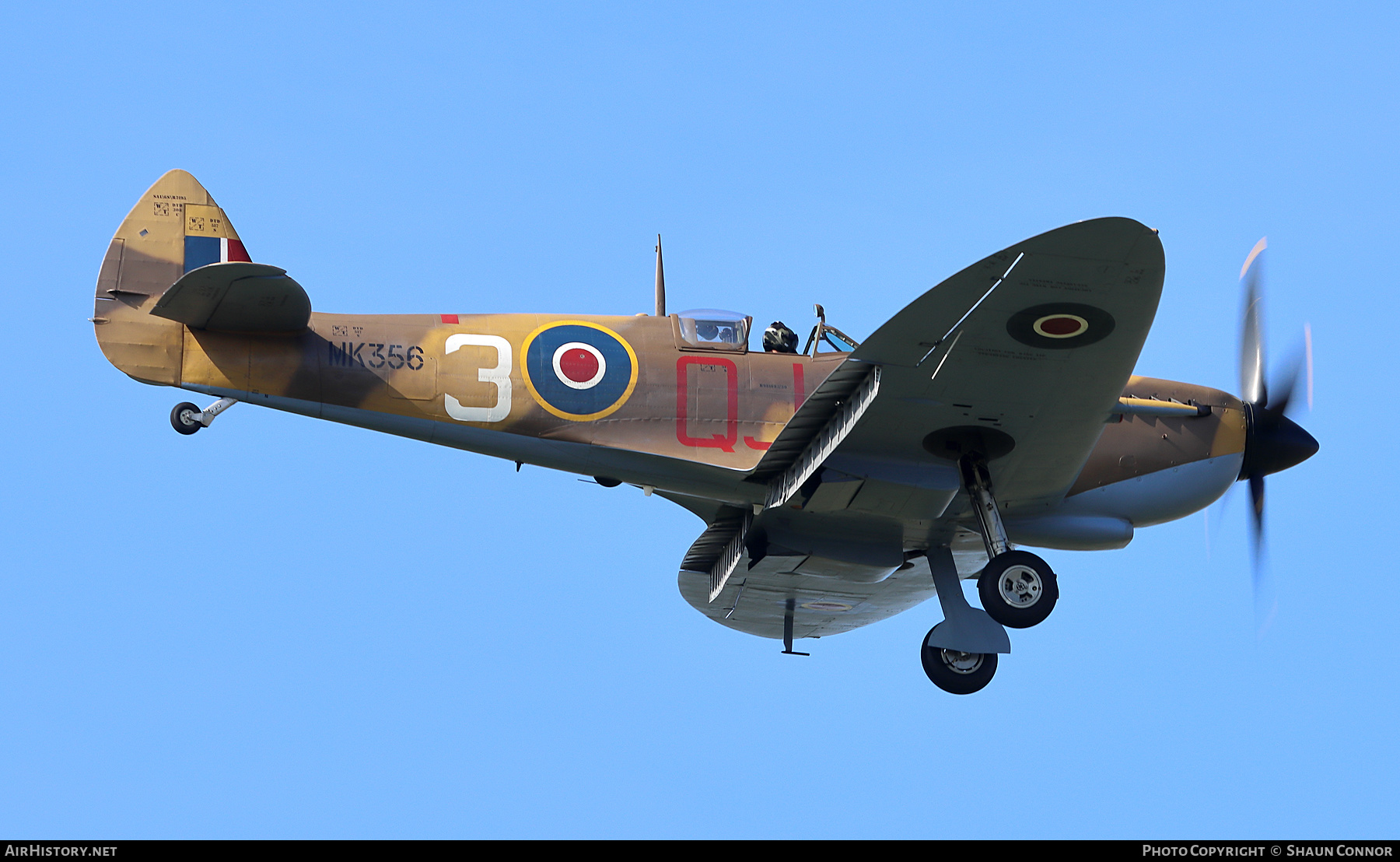 Aircraft Photo of MK356 | Supermarine 361 Spitfire F9E | UK - Air Force | AirHistory.net #389876
