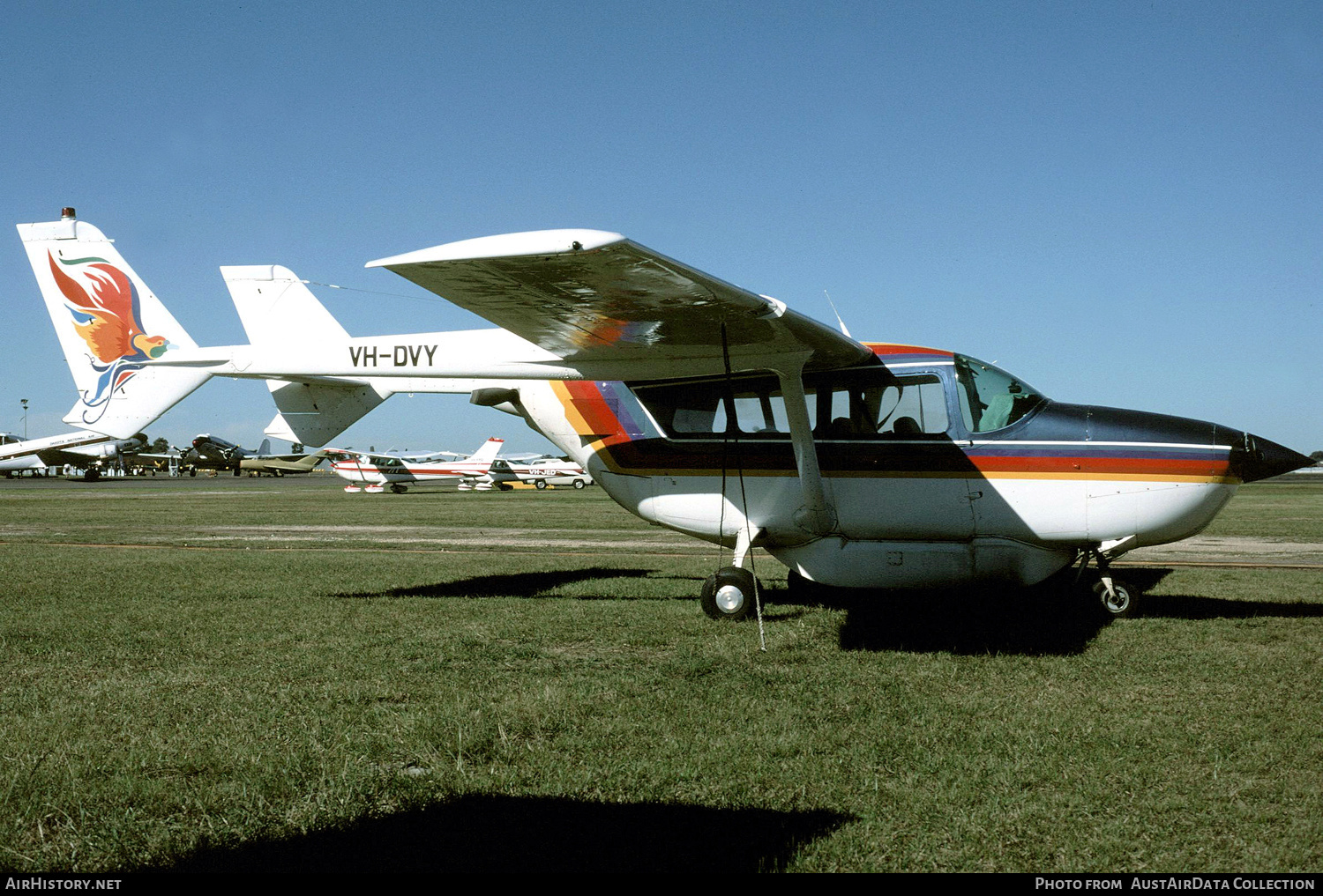 Aircraft Photo of VH-DVY | Cessna 337 Super Skymaster | AirHistory.net #390075