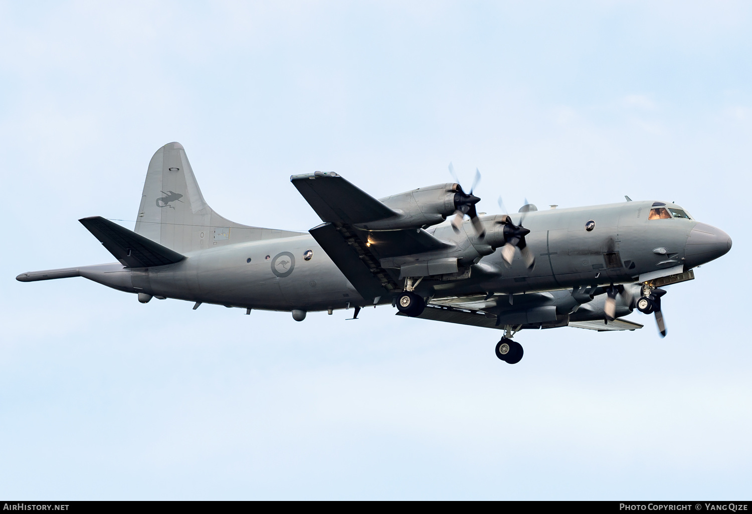 Aircraft Photo of A9-660 | Lockheed P-3C Orion | Australia - Air Force | AirHistory.net #392640