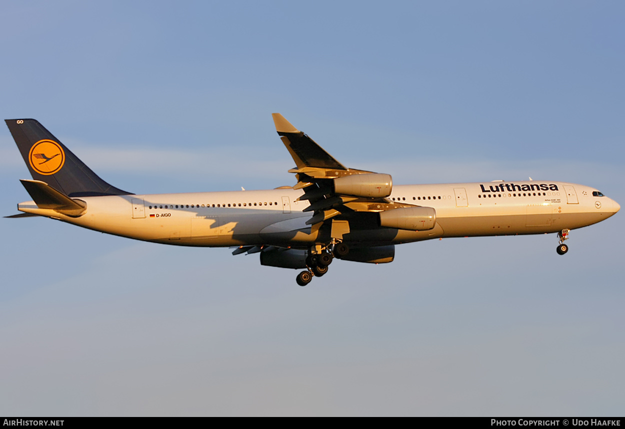 Aircraft Photo of D-AIGO | Airbus A340-313 | Lufthansa | AirHistory.net #398760
