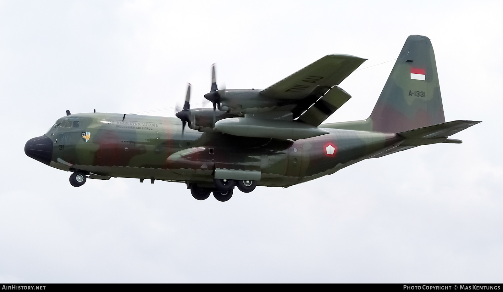 Aircraft Photo of A-1331 | Lockheed C-130H Hercules | Indonesia - Air Force | AirHistory.net #399623